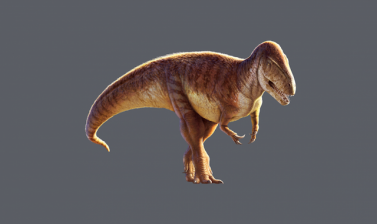 megalosaurus 2256x1375